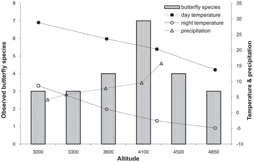 FIGURE 2. Butterfly species richness pattern along the elevational gradient. Temperature data is shown as December mean daily maximum and December mean daily minimum in °C, over the period 1991–1994 along an altitudinal transect 35 km north of our transect. Annual precipitation (in cm) data is from regional weather stations and is averaged over the period 1978–1985 and 1987–1988. Climate data is modified from Schmidt (Citation1999).