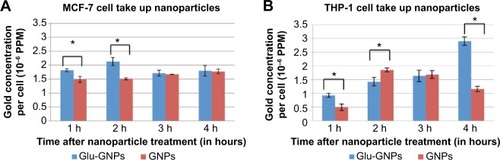 Figure 2 Uptake of nanoparticles.Notes: (A) Nanoparticles taken up by MCF-7 cells: average and standard deviations; (B) Nanoparticles taken up by THP-1 cells: average and standard deviations. Note that 1 h on the horizontal axis designates 1 hour after cells were treated by nanoparticles. *Indicates a significant difference (P<0.05) when comparing gold concentration of cells treated with Glu-GNPs or GNPs.Abbreviations: GNPs, gold nanoparticles; Glu-GNPs, pegylated glucose coated GNPs.