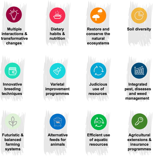 Figure 6. Graphical summary of recommendations suggested in Agricultural Research for Sustainable Food Systems with Special Reference to Sri Lanka. For detailed explanations of the recommendations, readers are referred to the information source (Marambe et al., Citation2020).