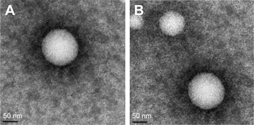 Figure 2 TEM images of RST-NLCs.