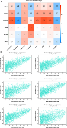 Figure 6 Identification of the characteristic modules related to immune cells by WGCNA. (A) The correlation of sample characteristics and modules shown by heatmap. (B) The correlation between the turquoise module and the importance of immune features shown by scatter plots.