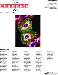 Cover image for Channels, Volume 11, Issue 3, 2017
