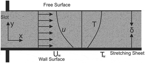 Figure 1. The physical sketch of the problem.