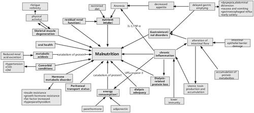 Figure 1. Schematic diagram of malnutrition risk factors and consequences. Abbreviations: DM: diabetes mellitus; CVD: cardiovascular disease; UPS: ubiquitin-proteasome system.