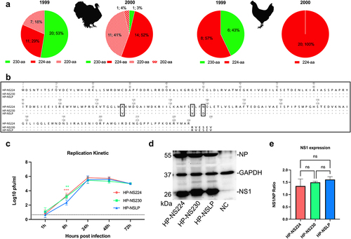 Figure 1. Sequence analysis and in vitro characterization of recombinant H7N1 viruses.