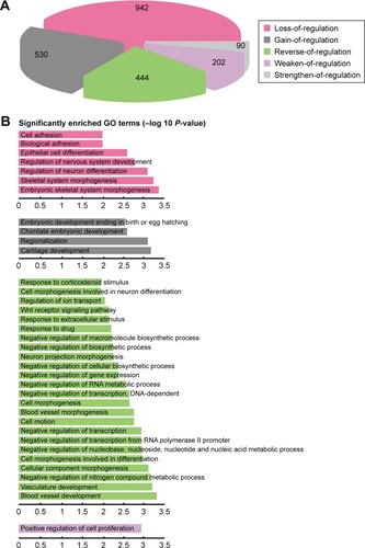 Figure 2 Comprehensive analysis of the distribution and function of DRLs. The normal and tumor regulatory networks were constructed for the DCmRNAs. With the comparison of the two regulatory networks, 2,208 DRLs were identified. (A) The proportions of the five different types of DRLs. (B) Functional enrichment analysis for each type of DRLs indicated the specific function of DRLs (Benjamin adjust P-value <0.01).