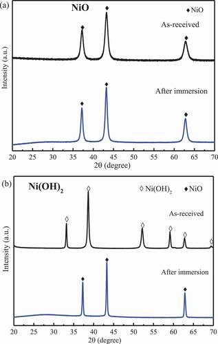 Figure 1. XRD patterns for the NiO and Ni(OH)2 before and after immersion at 360 °C for 28 h.
