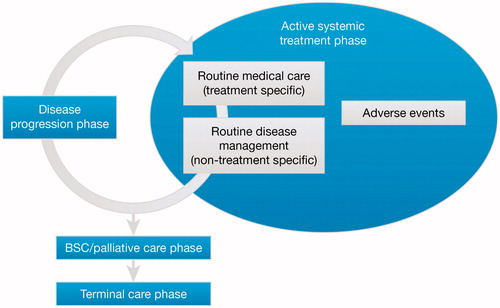 Figure 1. Treatment phases in the management of metastatic melanoma. BSC, best supportive care.