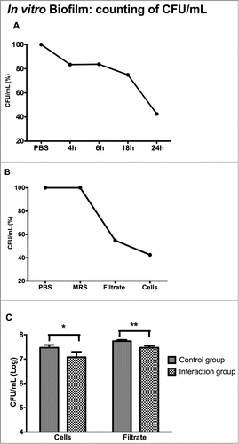 Figure 1. Candida albicans biofilm formed in vitro: (A) Percentage of reduction, expressed as mean values (CFU/mL), in the viability of C. albicans in the groups treated with L. acidophilus cells obtained from cultures in different phases of growth (4, 6, 18 and 24 h) in relation to the control group (PBS). (B) Percentage of reduction, expressed as mean values (CFU/mL), in the viability of C. albicans in the groups treated with L. acidophilus cells or culture filtrate obtained from 24-h cultures in relation to the control groups (PBS or MRS broth). (C) Number of C. albicans CFU/mL (log) in biofilms of the control group (PBS or MRS broth) and groups treated with L. acidophilus cells or culture filtrate. *Significant difference between the control group (PBS) and C. albicans + L. acidophilus cell group (p = 0.0001). **Significant difference between the control group (MRS broth) and C. albicans + L. acidophilus culture filtrate group (p = 0.0001). Student t-test, P ≤ 0.05.