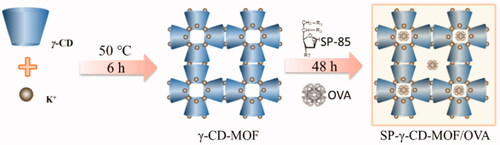 Scheme 1. The synthesis process of SP-γ-CD-MOF/OVA.