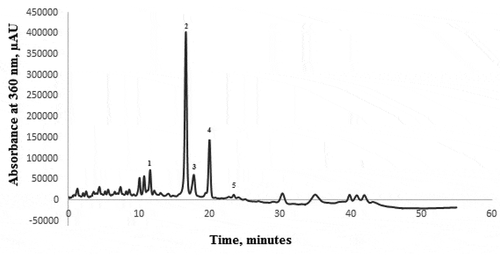 Figure 2. HPLC analysis of the onion skins’ extract: Peak (1) – quercetin 7,4-diglucoside; Peak (2) - quercetin 3,4-diglucoside; Peak (3) - quercetin 4-glucoside; Peak (4) -quercetin; Peak (5) - kaempferol.Figura 2. Análisis HPLC del extracto de piel de cebolla: Pico (1) – quercetina 7,4-diglucósido; Pico (2) – quercetina 3,4-diglucósido; Pico (3) – quercetina 4-glucósido; Pico (4) -quercetina; Pico (5) – kaempferol