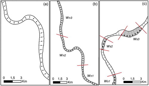 Figure 5. The three different methods of virtual (width) stations definitions: (a) individual width (w) at-a-station, (b) systematic average width stations (wn) calculated for the whole river reach every 10 km and (c) selected average width stations (ws) defined by statistically selecting river sections with the most width variations