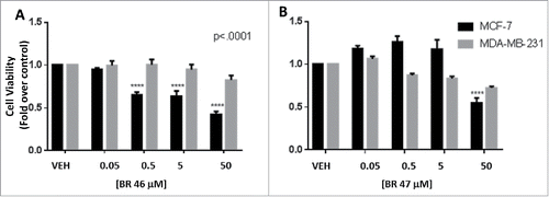 Figure 5. BR compounds effects on (A) MCF7 (ER positive) and (B) MDA-MB-231 (ER negative) breast cancer cell viability. MCF7 cells were treated with 0.5% DMSO (vehicle) or 0.05 to 50 uM test compounds for 24 hours at 37oC with 5% CO2 and 10% humidity. was used as vehicle. The cells were incubated with (1mM) thiazolyl bromide for 4 hours and the absorbance was captured at 570nm and 650nm using the Bio-Tek Synergy microplate reader. All assays were run in triplicates. Error analysis and statistics was performed using GraphPad Prism. Results represent the mean ± standard deviation, where *** represents p < 0.0001.