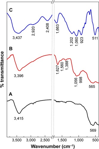 Figure 2 Fourier transform infrared spectra of iron oxide magnetic nanoparticles (A), PTA-CS-MNP nanocomposite (B), and phytic acid sodium salt (C).Abbreviation: PTA-CS-MNP, phytic acid-chitosan-iron oxide nanocomposite.