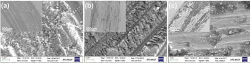 Figure 10. SEM micrographs of as-fabricated and heat-treated MS specimens after wear tests.