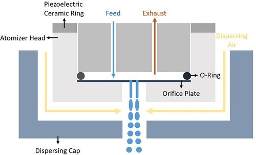Figure 1. Schematic of the vibrating orifice atomizer using a dual-orifice plate.