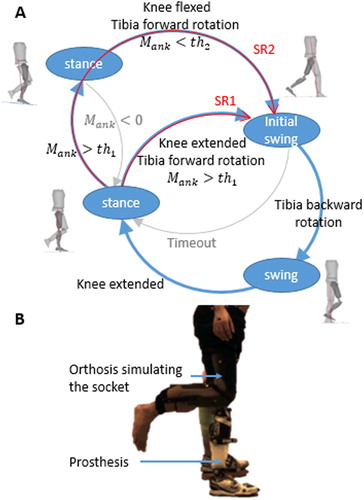 Figure 1. (A) Simplified state machine managing the comportment of the prosthesis. (B) Asymptomatic subject standing on the prosthesis using the orthosis.