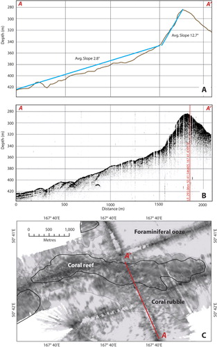 Figure 4 A close up of the ridge-like structure in profile and plan view. A, a close up of the slope change used to delineate the base of the ridge-like structure with the average slope angles shown in blue and calculated (the location of A-A' is shown in Fig. 4C); B, the 3.5 kHz sub-bottom profile also shows a change in the penetration and return signal, with the time stamp shown by the red line (as for Fig. 2); C, plan view of the backscatter, showing the change in signal between what is interpreted as the background foraminiferal ooze, coral rubble and coral reef. (A-A' is the line shown in Figs. 4A and B). High backscatter (reflectivity) values are darker in colour. The map projection for C is WGS84/Mercator 41 (EPSG: 3994).
