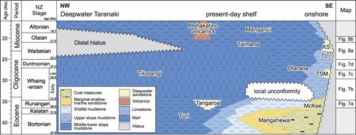 Figure 2 Generalised stratigraphy of the Middle Eocene–Early Miocene of the Taranaki Basin, illustrating the major lithostratigraphic units named in the text and the time ranges covered by the paleogeographic maps. Modified after King & Thrasher (Citation1996) and New Zealand Petroleum & Minerals (Citation2013). Updated ages of the New Zealand Stages taken from Raine et al. (Citation2012). KS, ‘Kauri sandstone’; TL, Tikorangi Limestone; TSM, Tariki Sandstone Member.