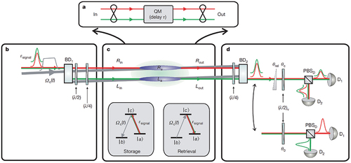 Figure 9. (a) Reversible mapping. Illustration of the mapping of an entangled state of light into and out of a QM. (b) Entangled a pair of photons. (c) Quantum interface for reversible mapping. (d)Entanglement verification system. Reprinted with permission [Citation59]