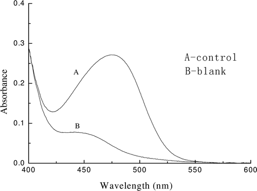 Figure 8.  Absorption spectra of chromogenic reaction solutions in ACE inhibitory activity assay. A control solution and a blank solution in ACE inhibitory activity assay were allowed to react with 2.0 mL of 2.5% DAB-QL solution and 0.2 mL of acetic anhydride at room temperature.