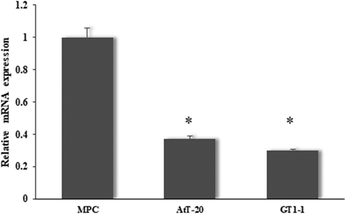 Figure 1. miR-219a-2-3p was down-regulated in pituitary adenomas cell lines.