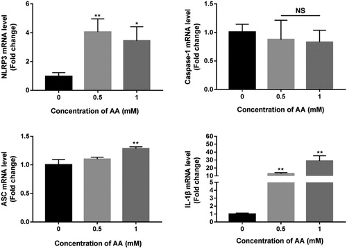 Figure 5. Effects of AA on NLRP3 inflammasome mRNA expression. The mRNA expression of NLRP3, Caspase-1, ASC and IL-1β were detected by real-time PCR, normalized by U6 and expressed as 2−ΔΔCT. The values are presented as means ± of SD (n = 3). Significant differences with control group were designated as *P < 0.05 or **P < 0.01.