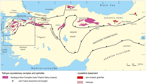 Figure 1. Distribution of the Paleo-Tethyan accretionary complex and Variscan basements in the Pontides, N Turkey (modified from Okay & Göncüoğlu, Citation2004). Distribution of the Variscan magmatism is adopted from; 1- Okay et al., 1996 and Okay et al. (Citation2006), 2- Aysal et al. (Citation2012), 3- this study, 4- personal unpublished data, 5- Ustaömer et al. (Citation2012), Nzegge et al. (Citation2006), 6- Topuz et al. (Citation2010); Dokuz (Citation2011), 7- Ustaömer et al. (Citation2012b).