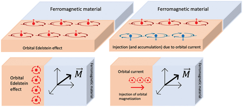 Figure 5. Sketch of the orbital magneto-electric effect and orbital hall effect. The orbital degree of freedom can interact with the local magnetisation in a ferromagnetic material through the spin-orbit coupling in the ferromagnetic material or in the interface between them. It is essential to have orbital-to-spin conversion in order to induce an effect in the magnetisation of the FM.