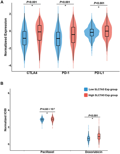 Figure 8 The sensitivity in immunotherapy and chemotherapy between the high and low SLC7A5 expression groups. IC50, half-maximal inhibitory concentration. (A) Higher sensitivity in the low-SLC7A5-expression group than in the high-SLC7A5-expression group. (B) SLC7A5-expression in two chemotherapeutic drugs, paclitaxel and doxorubicin, in breast cancer therapy. (*p < 0.05).