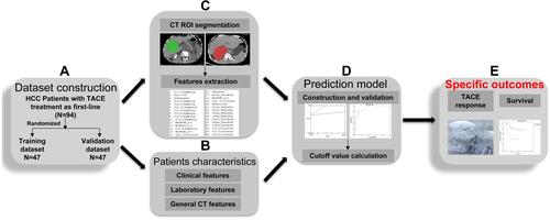 Figure 1 The predictive model setup procedure. After grouping (A), patient characteristics, including clinical, laboratory, and general CT features, were collected (B). The ROI of the NC-CT image was drawn and used to extract radiomic features (C). A CT radiomics model and a compound model were constructed and validated (D). Different models were evaluated by ROC curve and survival analysis to predict TACE response and prognosis in HCC patients (E).