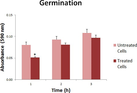 Figure 1. Absorbance reading (590 nm) for germination of hydroxychavicol-treated and untreated C. albicans.