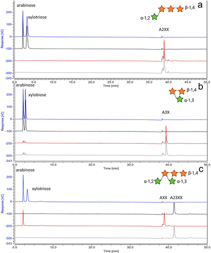 Figure 6. HPAEC-PAD analysis of products from enzymatic reactions of synthetic AX with and without incubation with AxuAHis/AxuBHis see SM6; from the bottom to top: substrate only (gray), with AxuBHis (red), with AxuAHis (black), with both (blue); utilizing A2XX (panel A), A3X (panel B) and A23XX (panel C); the structures of tested synthetic AX are shown in the top-right hand corner. Green Stars indicated arabinose residues and orange stars correspond to xylose units. (structures created with BioRender.com).