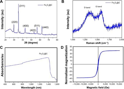 Figure 2 Structural analyses of Fe3O4@C.Notes: (A) Powder X-ray diffraction pattern; (B) Raman spectrum; (C) ultraviolet/visual/NIR absorbance spectrum; (D) magnetization curve by SQUID.Abbreviation: NIR, near-infrared.