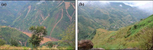 Figure 3. Images for the affected area of the Ludian earthquake: (a) varied terrain condition and (b) dense vegetation-covered slopes.