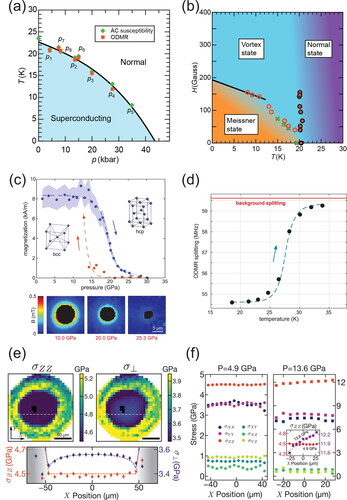 Figure 11. (a) The T – P phase diagram of the BaFe2(As0.59P0.41)2 sample measured by ac susceptibility and ODMR methods, showing good agreement between common method and the novel ODMR method. (b) The H – P phase diagram of the same sample measured by the ODMR method. This work opened up a discussion of the superconducting gap function. Reproduced withpermission from Yip et al., Science 366, 1355 (2019). Copyright 2019 American Association for the Advancement of Science. (c) The magnetization versus pressure of an iron bead sample. The expected hysteresis of the structural transition can be observed from the difference between increasing and decreasing pressure. (d) The evolution of the ODMR splitting versus temperature of a MgB2 sample. Reproduced with permission from Lesik et al., Science 366, 1359 (2019). Copyright 2019 American Association for the Advancement of Science. (e) Spatially resolved maps of the loading stress (left) and mean lateral stress (right), across the culet surface. A linecut along the white-dashed line of the two stresses is highlighted (bottom). These results agreed with the finite-element analysis. (f) Comparison of the full stress tensor along the dotted line at two different pressures. A noticeable pressure gradient was observed at higher pressure, meaning the pressure medium had entered the glassy phase. Reproduced with permission from Hsieh et al., Science 366, 1349 (2019). Copyright 2019 American Association for the Advancement of Science.