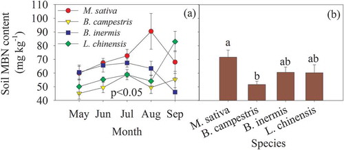 Figure 4. Monthly variation and mean of soil microbial biomass N (MBN) concentration in the different species cultivation plots. Different lowercase letters indicate significant difference among the four species cultivations