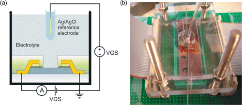 Figure 2. (a) Measurement principle of the FG FET in common source mode; (b) Photograph of the flow cell set-up.