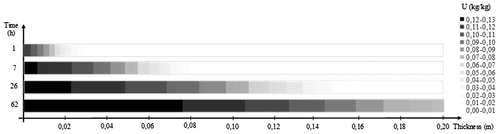 Figure 4. Experimental moisture content profiles of the red brick provided by gamma-ray attenuation method.