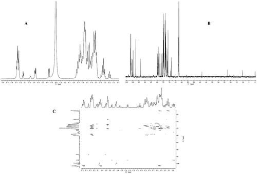 FIGURE 4 (A) Citation1H NMR spectrum of 62−α-maltotriosyl-maltotriose; (B) Citation13C NMR spectrum of 62−α-maltotriosyl-maltotriose; and (C) HMBC spectrum of 62−α-maltotriosyl-maltotrios.