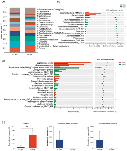 Figure 5. Species composition analysis between G-CaP and G-CaN group. (a) Microbial composition at the genus level between the G-CaP and G-CaN group. (b) The genera with significant differences between the G-CaP and G-CaN group (taking the top 1–15 bacteria ranged by relative abundance). (c) The species with significant differences between the G-CaP and G-CaN group (taking the top 1–25 bacteria ranged by relative abundance). (d) Periodontal pathogens with low relative abundance but significant differences between the G-CaP and G-CaN group (*p < 0.05, *p < 0.01, **p < 0.001).