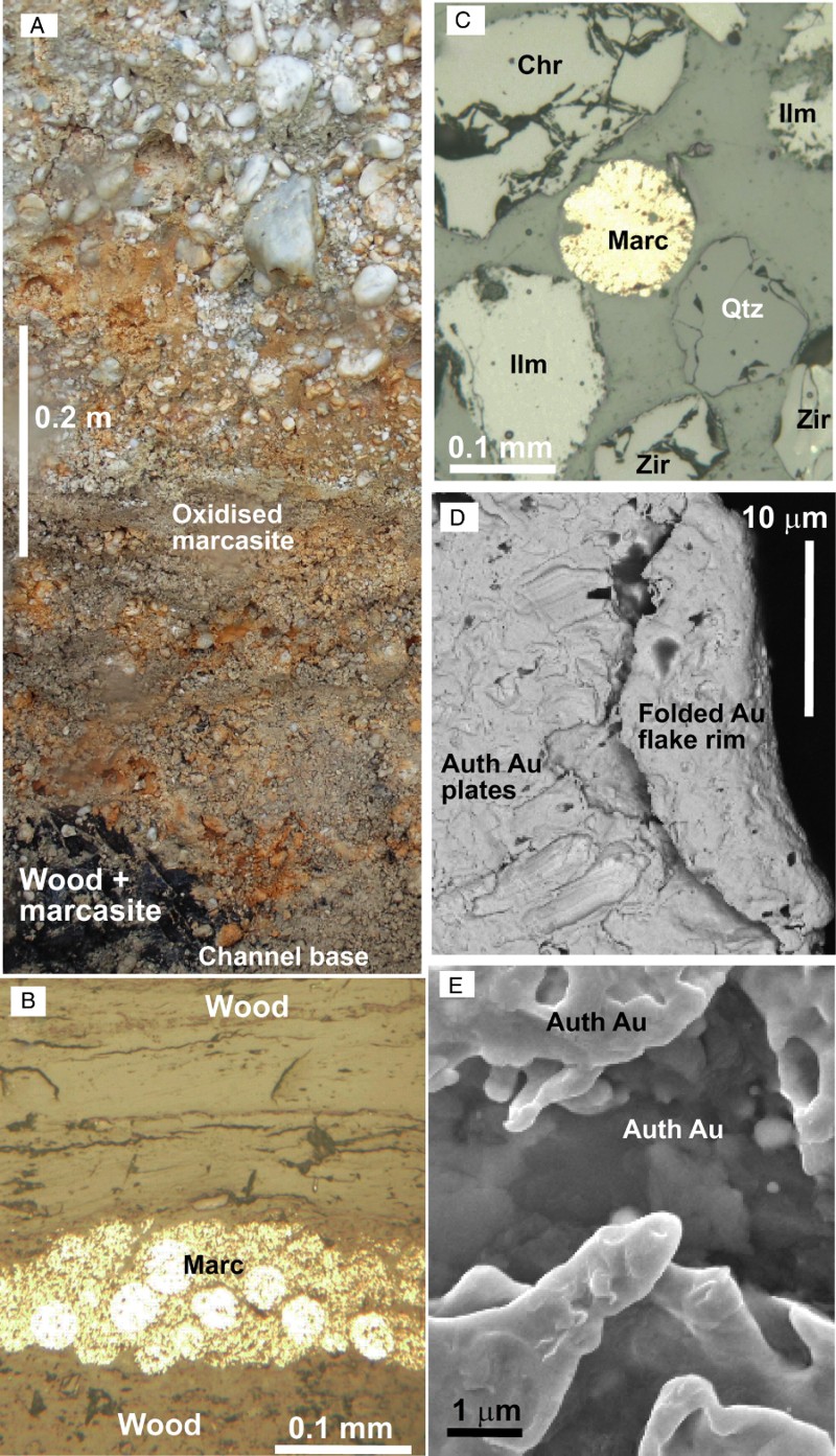 Figure 10 Authigenic minerals in Waimumu Quartz Gravels at Waimumu Stream mine. A, Outcrop view of quartz gravels in the base of a channel, with a large woody clast at the base. B, Authigenic marcasite in the woody material shown in A. C, Sphere of authigenic marcasite in a heavy mineral concentrate from the quartz gravels. D, SEM electron backscatter image of a folded rim of a detrital gold flake, extracted from the base of the channel in A. Authigenic gold plates coat the detrital flake surface. E, Authigenic gold protrusions partially fill a cavity in the flake in D.