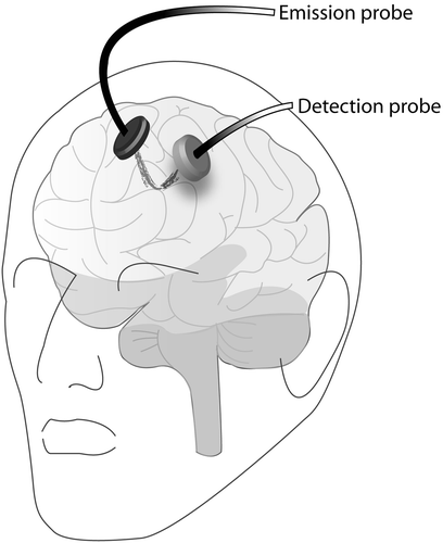 Figure 1. Schematic illustration demonstrating a surface NIR light emitter coupled to a low-light-sensitive detector. The cortical hemodynamic change from a banana-shaped volume of tissue between the emitter and detector is probed non-invasively. Application of a series of emitters and detectors results in hemodynamic recordings from multiple cortical sites (channels) simultaneously.