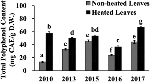 Figure 6. Total polyphenol content in the yacon non-heated and heated leaves among five different cultivation years. Yacon leaves collected in November 2010, 2013, 2015, 2016, and 2017 were used in this study. Data shown represent mean ± standard deviation (S.D.) from four independent experiments. Values not sharing a common superscript letter are considered significantly different (P < 0.05, one-way analysis of variance (ANOVA) followed by Tukey-Kramer test). CAE; chlorogenic acid equivalent, D.W.; dry weight of sample.