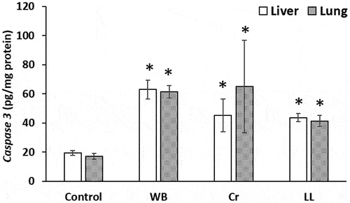 Figure 6. Caspase-3 levels (pg/mg protein) in the liver and lung of the control, WB, Cr and LL groups. The values represent the means ± S.D. (n = 5). *p < 0.05 versus control.