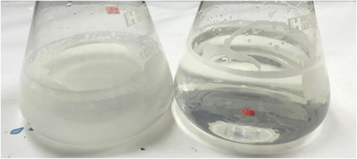 Figure 3. The appearance of double boiled raw ESN (ER) with overnight soaking followed by heat treatment (left) and; ESN hydrolyzate that is double boiled and continue with 1-hour hydrolysis incubation period (right).