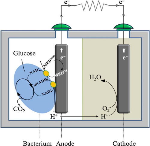 Figure 10. Schematic principle of a microbial fuel cell with lactic acid bacteria as biocatalyst for co-production of L-lactic acid and bioelectricity [Citation126].