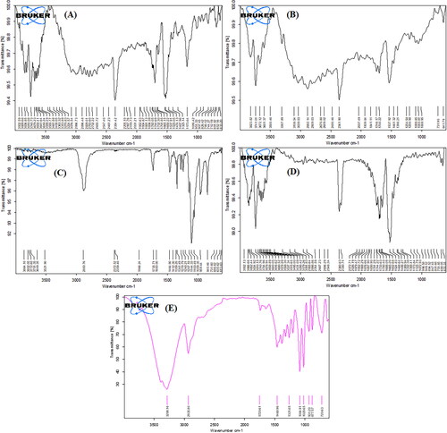 Figure 1. FTIR spectrum of pure sorafenib tosylate (a), soyalecithin (B), Vit E TPGS (C), physical mixture (D), and optimized nanosuspension (formulation NSS6) (E).