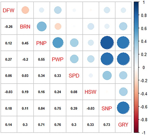 Figure 1. Correlation coefficient matrix showing associations of agronomic traits among cowpea genotypes evaluated across two environments. DTF, days to flowering; BRN, number of branches; PNP, pod number per plant; PWP, pod weight per plant; HSW, hundred seed weight; SPD, seed number per pod; SNP, seed number per plant; GY, grain yield.