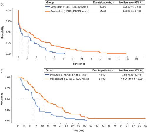Figure 1. Time to treatment discontinuation and overall survival from first-line trastuzumab start in patients whose tumors were HER2+ by HER2/ERBB2 concordance. (A) Time to treatment discontinuation. (B) Overall survival.Amp: Amplification; mo: Months.